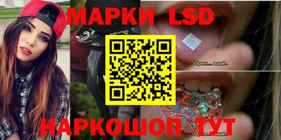 spice Вязники
