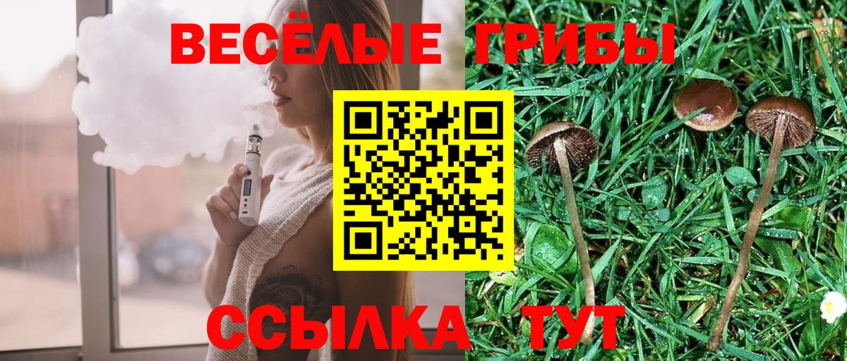 Галлюциногенные грибы MAGIC MUSHROOMS Красногорск