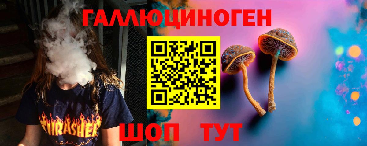 Псилоцибиновые грибы Cubensis  Вход с VPN  Красногорск 